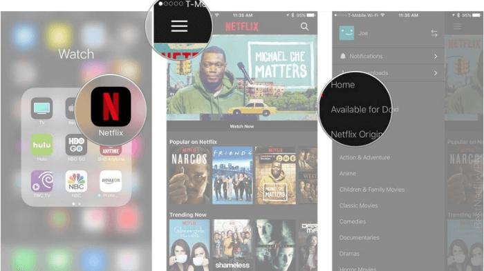Netflix shows, how to download