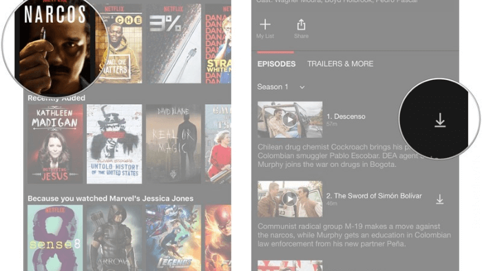 How to download netflix shows