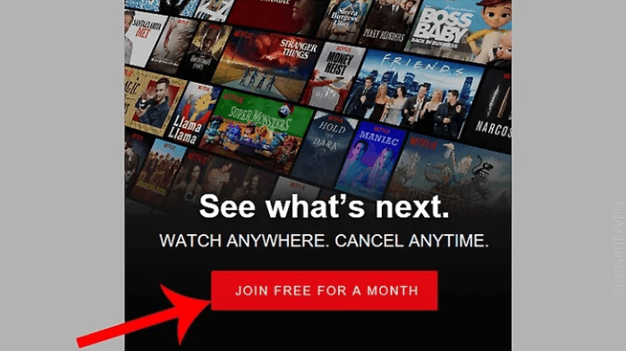 is it possible to get netflix for free