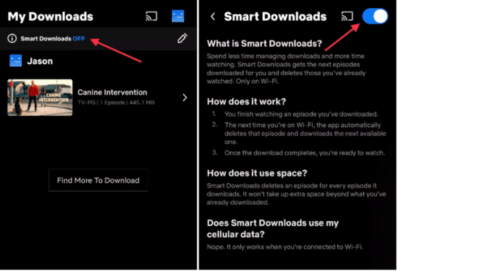 Netflix Smart Downloads - Android