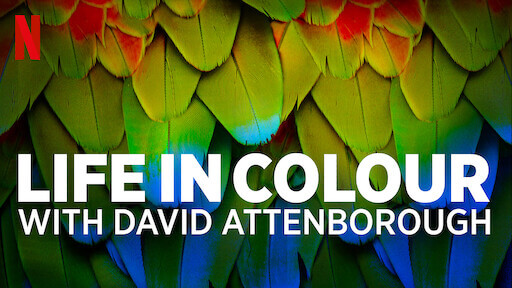 Life in Color with David Attenborough