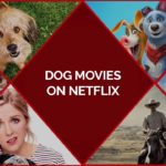 19 Best Dog Movies On Netflix UK To Make You Love Your Pets More