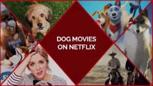 30 Best Dog Movies On Netflix To Make You Love Your Pets More