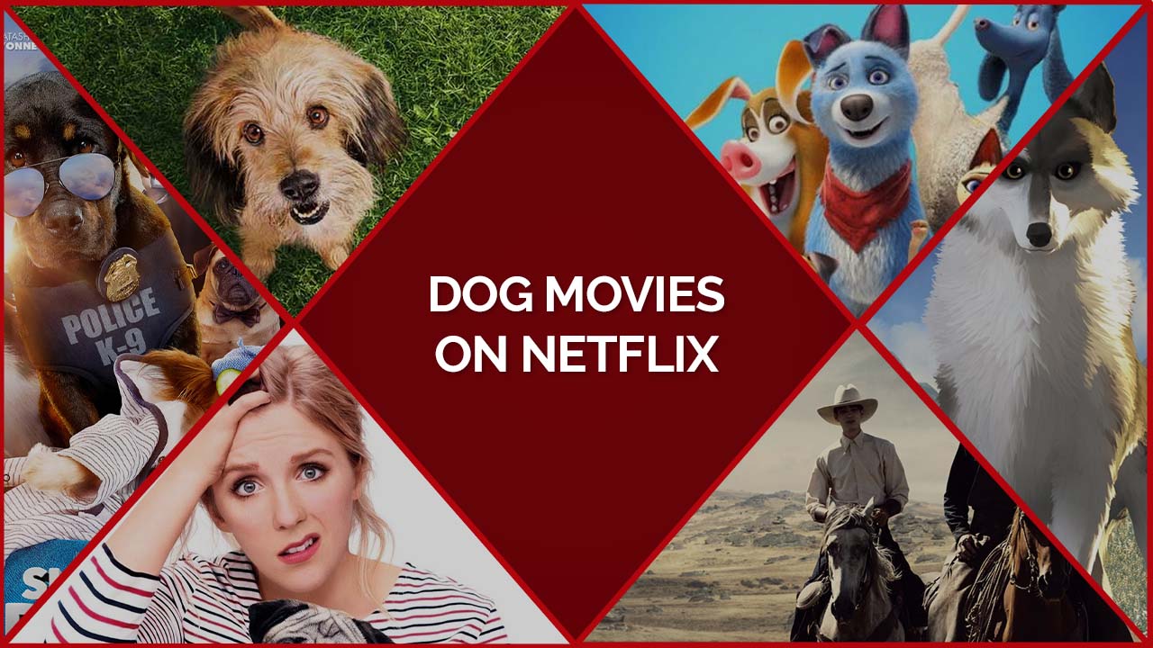 30 best dog movies on netflix 59 off www pinnaxis