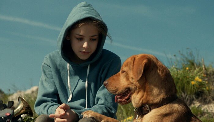 White god - Best Dog Movies On Netflix