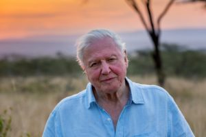 David Attenborough: A Life on Our Planet - Educational shows on Netflix