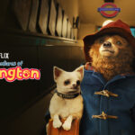 Is The Adventures of Paddington Available on Netflix UK in 2022